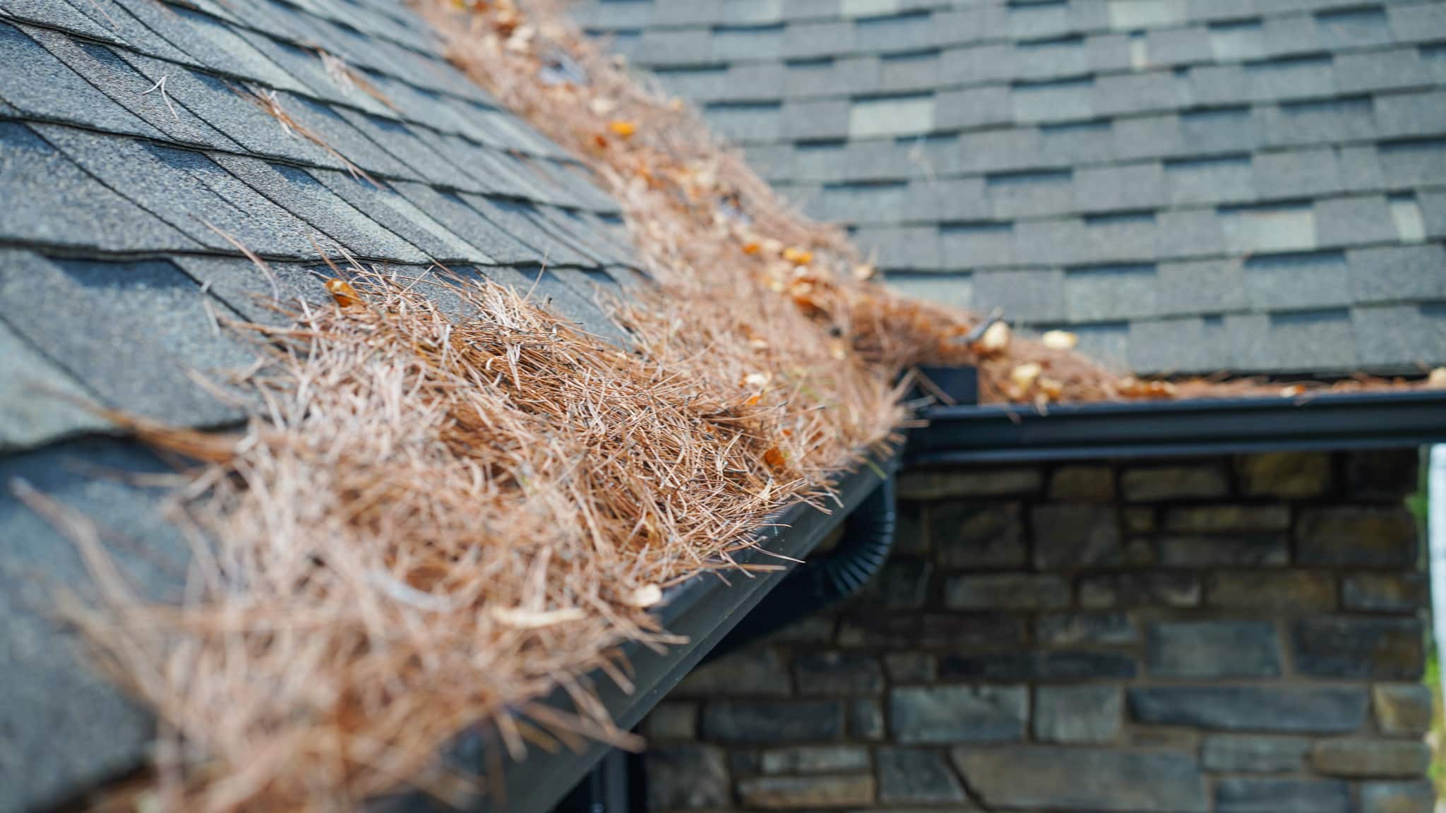 Professional removal of pine needles leaves moss and organic sludge from a residential gutter in North Bay Ontario
