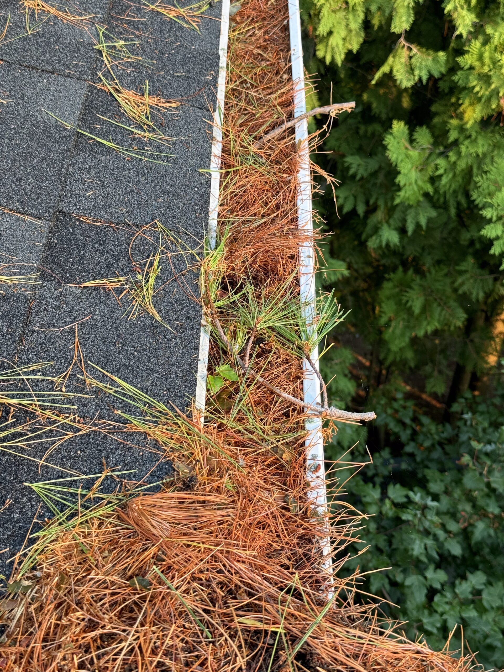 Illustration of why professional gutter cleaning matters to prevent water damage and foundation issues for Ontario homes